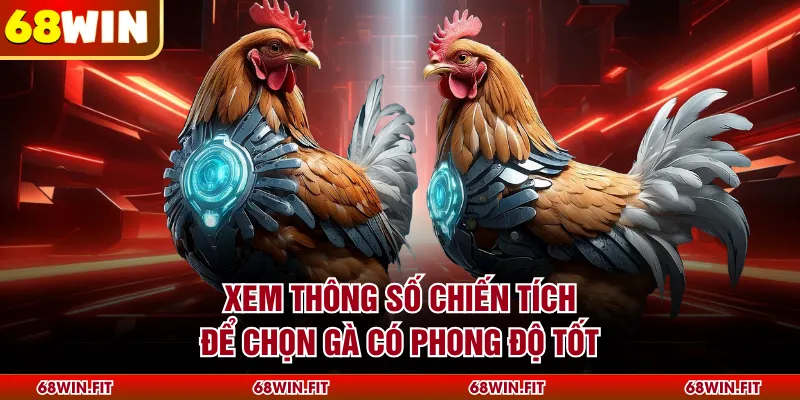 Xem thông số chiến tích để chọn gà có phong độ tốt